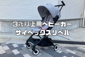 自閉症・発達障害児の３歳(15㎏)以降のベビーカー｜サイベックスリベルを購入